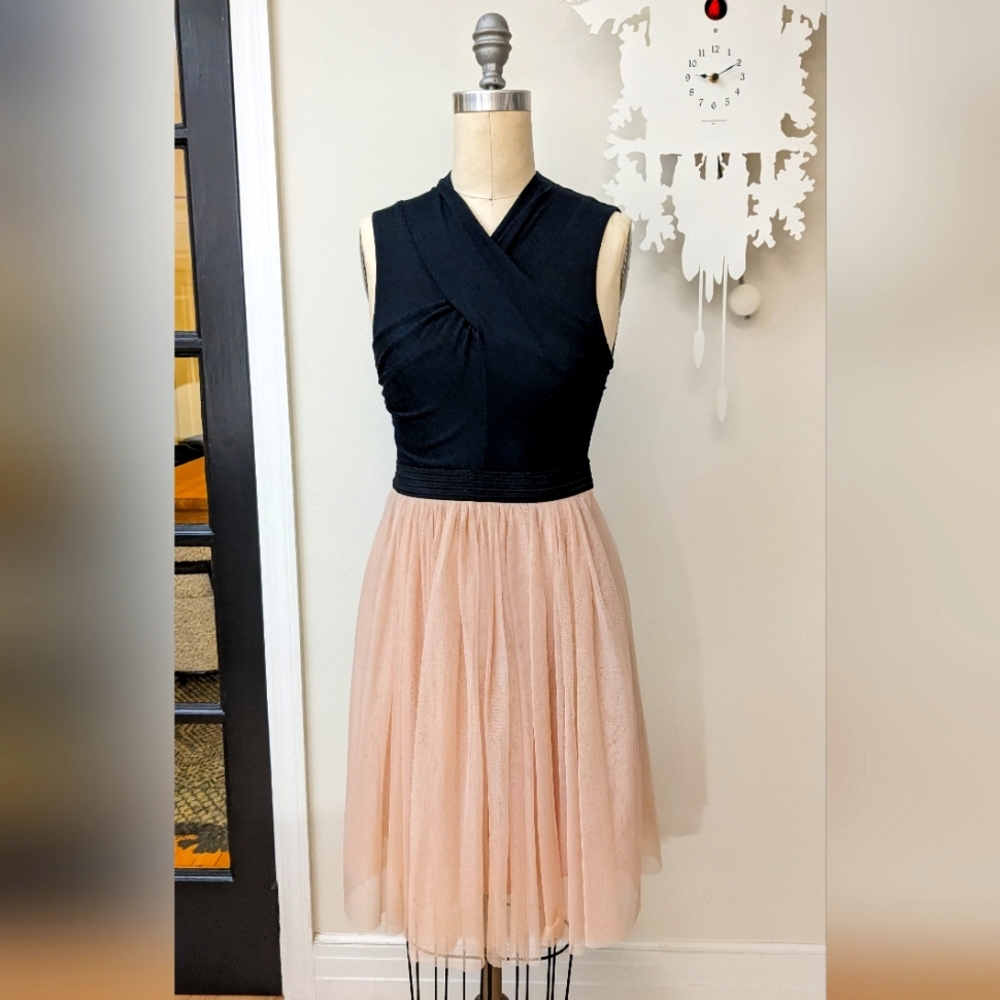 Anthropologie HD in Paris Darla Dress XS NWT